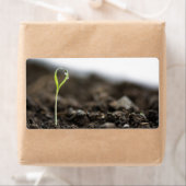 Étiquette Élevage (En situation)