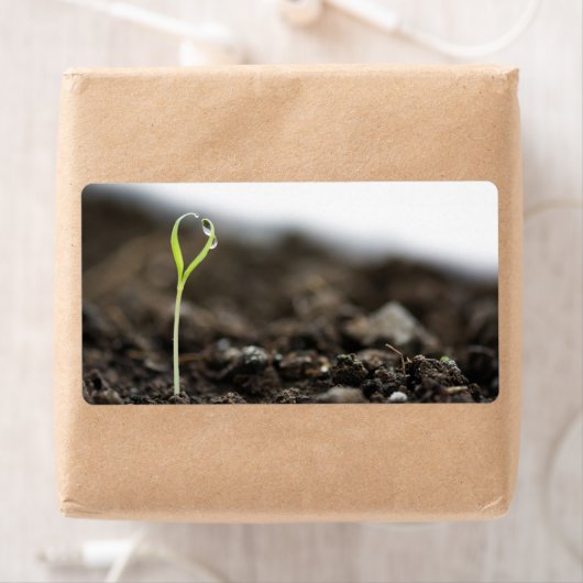 Étiquette Élevage (En situation)