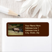 Étiquette Elk dans le désert (En situation)