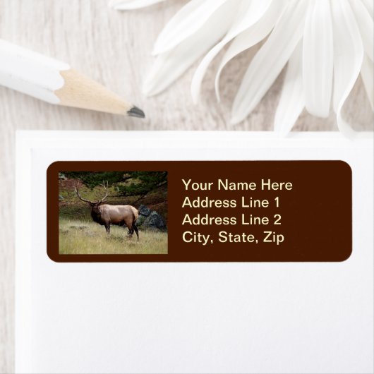 Étiquette Elk dans le désert (En situation)