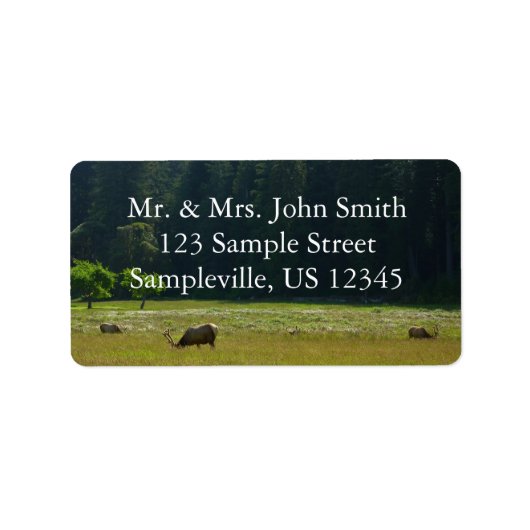 Étiquette Elk Meadow at Redwood National Park (Devant)