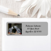 Étiquette Embrasser les perroquets gris africains mignonne a (En situation)