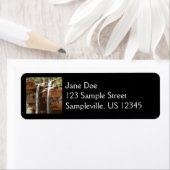 Étiquette Emerald Pool Falls IV du parc national de Zion (En situation)