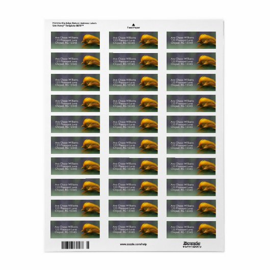 Étiquette Émergent du vert : faisan d'or (Feuille entière)