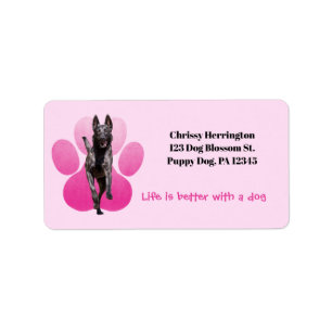 Étiquette Empreinte rose Sur Blanc / Chien Malinois Belge