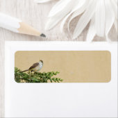 Étiquette Épervier (En situation)