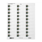 Étiquette Épicerie Albany NY (Feuille entière)