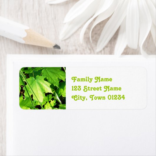 Étiquette Érable (En situation)