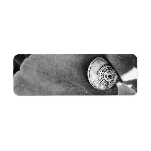 Étiquette Escargot (Devant)