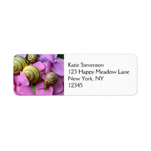 Étiquette Escargots de jardin sur les fleurs roses