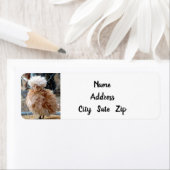 ÉTIQUETTE **ÉTIQUETTE D'ADRESSE DE RETOUR DE POULET COUVERT* (En situation)