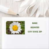 ÉTIQUETTE **ÉTIQUETTE DE ADRESSE DE DAISY LOVER** (En situation)