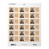 Étiquette Etiquette de retour de Boho Lright Photo Rainbow (Feuille entière)