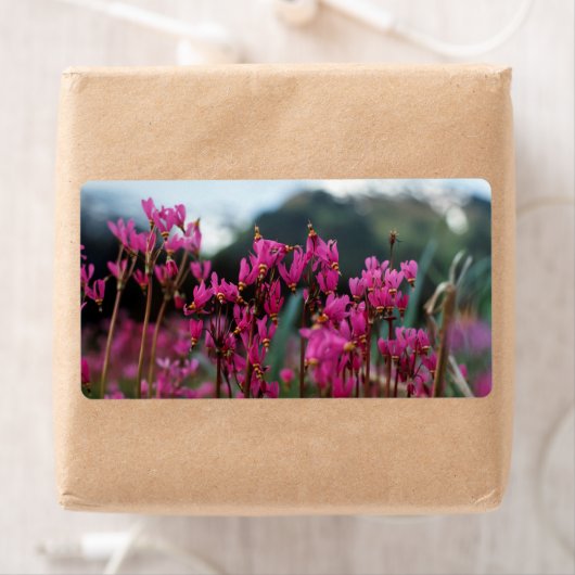 Étiquette Étoiles de tir dynamiques (En situation)