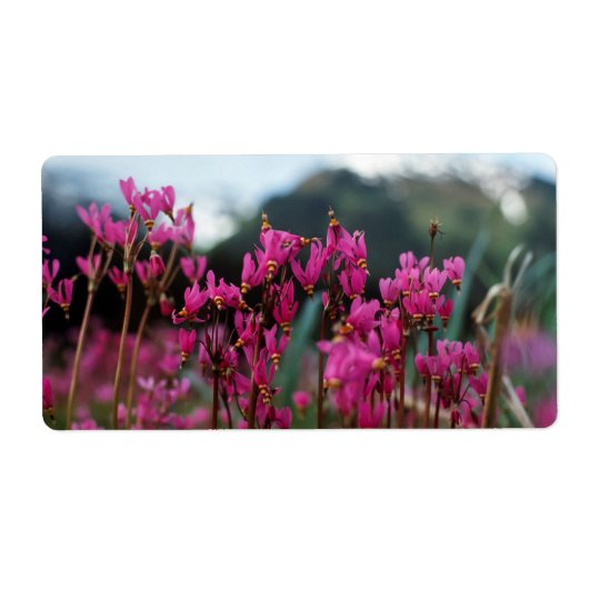 Étiquette Étoiles de tir dynamiques (Devant)