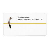 Étiquette - expédition - Montre Chat (Devant)