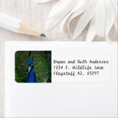 Étiquette Face d'un paon (En situation)