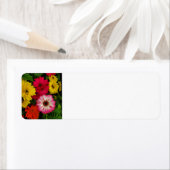 Étiquette Faisceaux colorés (En situation)