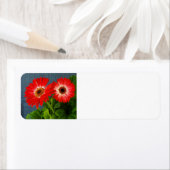 Étiquette Faisée rouge (En situation)