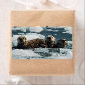 Étiquette Famille de loutres de mer (En situation)