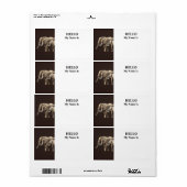 Étiquette Famille d'éléphants (Feuille entière)