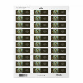 Étiquette Fantasy Cute Pixie Butterfly Wings (Feuille entière)