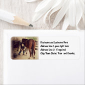 Étiquette Farrier - Beau Cheval Photo Hoof Trim (En situation)