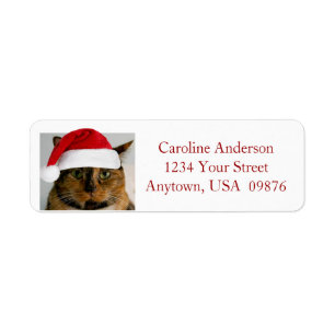 Étiquette Fat Holiday Cat, Personalized Return Address