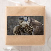 Étiquette Faucon (En situation)