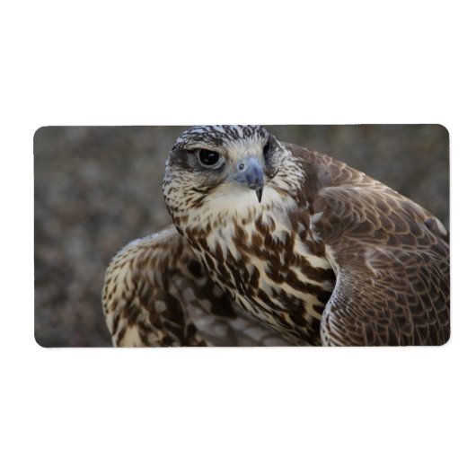 Étiquette Faucon (Devant)