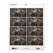 Étiquette Faucon (Feuille entière)