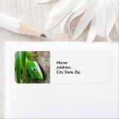 Étiquette Faune Carolina verte Anole Lizard Photo (En situation)