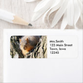 Étiquette Faux cul (En situation)