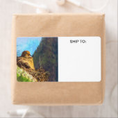 Étiquette Femme en deuil avec bébé Saguaro Cactus Nest (En situation)