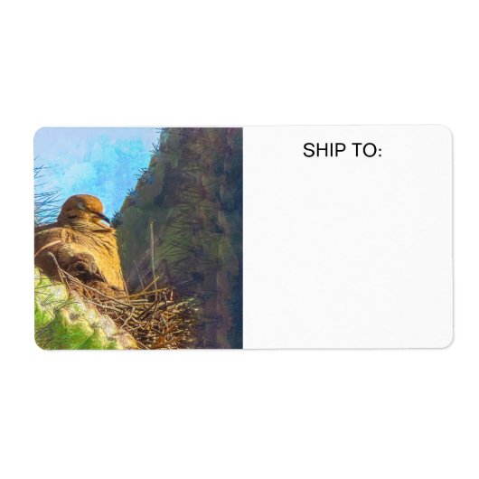 Étiquette Femme en deuil avec bébé Saguaro Cactus Nest (Devant)