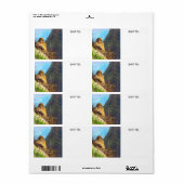 Étiquette Femme en deuil avec bébé Saguaro Cactus Nest (Feuille entière)