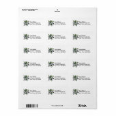 Étiquette Ferguson Tartan Lion (Feuille entière)