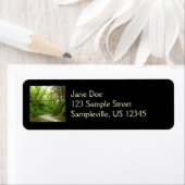 Étiquette Fern Canyon I au Redwood National Park (En situation)