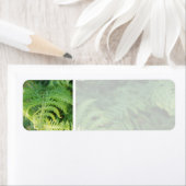 Étiquette Fern Feuilles. (En situation)