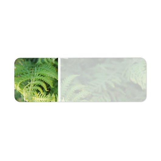 Étiquette Fern Feuilles. (Devant)