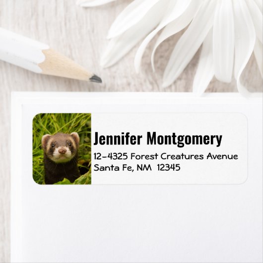 Étiquette Ferret Brown dans l'herbe (En situation)