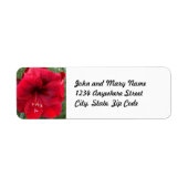 Étiquette Festive Red Amaryllis Floral Adresse de retour (Devant)