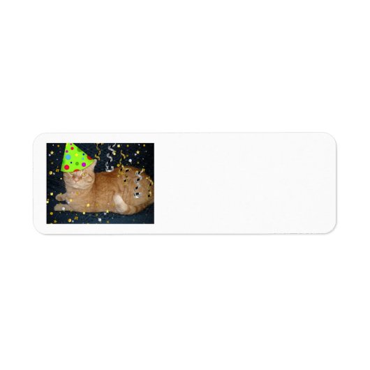 Étiquette Fête d'anniversaire Orange Tabby Cat (Devant)
