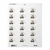 Étiquette Fête des mères - Tulipes roses - Bichon Frise (Feuille entière)