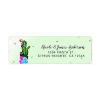 Fête des Succulentes à Rayures Brillantes Cinco de