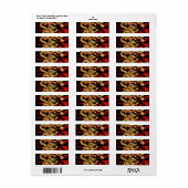 Étiquette Feu de dragon sur Lucky Energy (Feuille entière)