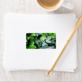 Étiquette Feuille ivoire (En situation)