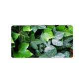 Étiquette Feuille ivoire (Devant)