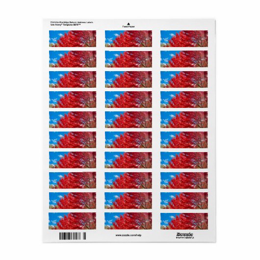 Étiquette Feuilles D'Arbre Rouge Lumineux En Automne (Feuille entière)