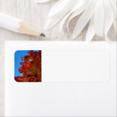 Étiquette Feuilles d'automne (En situation)